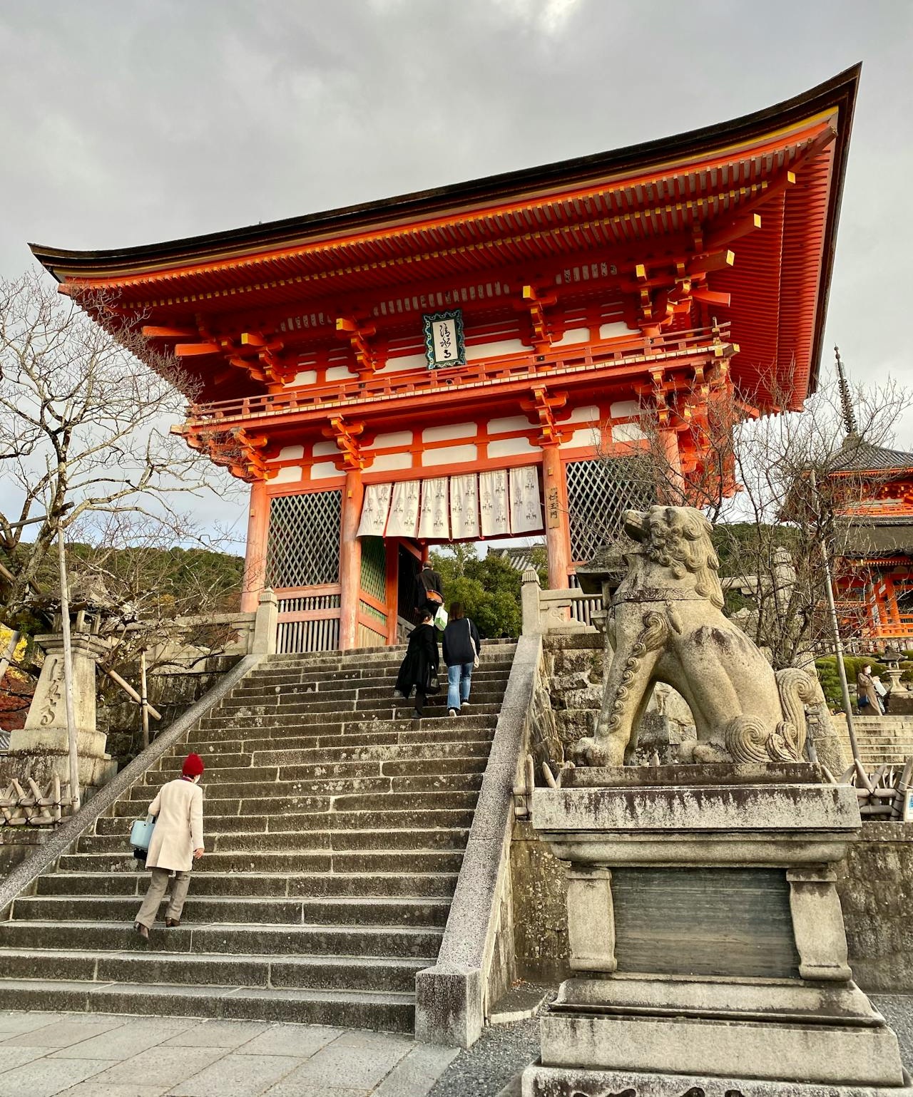 Japan travel operations